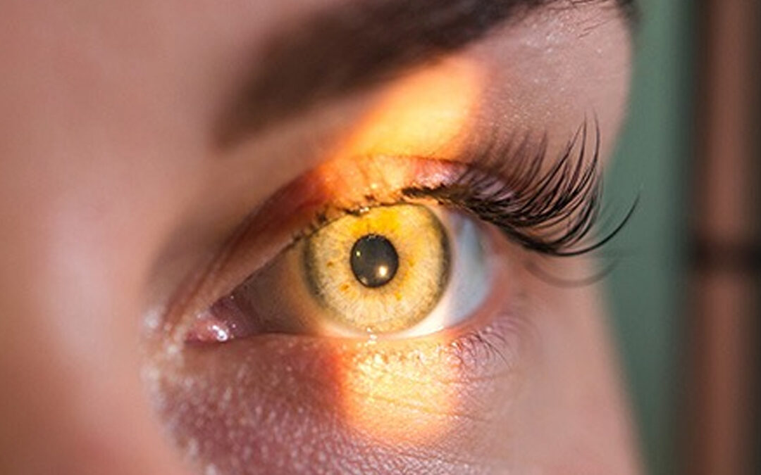 Conselho de Optometria alerta para atuação ilegal e sem habilitação de “oculistas” na saúde visual